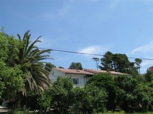 objects/738/99875_brna 10.jpg